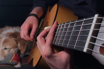 OST The Last Of Us fingerstyle tabs (Trench & Maple)